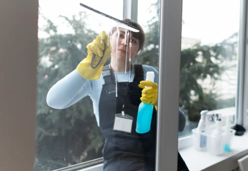 Nettoyage de vitres intérieures et extérieures à Aigre